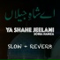 Sobia Hamza