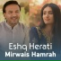 Mirwais Hamrah