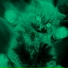 BINBXNE