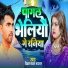 Vikram Bawal Narayan