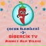 Ahmet Alp Yıldız, Bibercik TV
