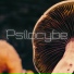 MTF Cubensis - Oficial