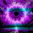 XSHROSLER, SHIEWER SL