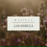 Wasylla