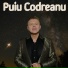 Puiu Codreanu