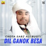 Chota Sabz Ali Bugti