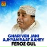 Feroz Gul