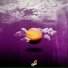 raw.beatart