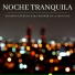 The Healing Project, Schola Camerata