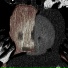 Mee:w