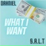 Dahniel feat. S.A.L.T