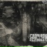 EVERBLOOM, Aaron Gillespie