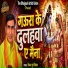 Vijay Dubey Vimal
