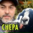 Agrupación RP