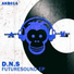 D.N.S