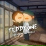 TeddyOne