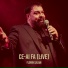 Florin Salam