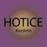Kuzstein