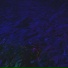 Drip Light
