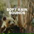 Panda Nature, Panda Rain, Panda Music