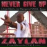 Zaylan feat. Brenda O.R. Love