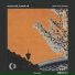 Picture Talk, Hussain Ali, Disruptive LoFi