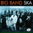 Pannonia Allstars Ska Orchestra