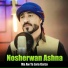 Nosherwan Ashna