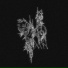 Lilhask