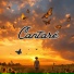 Avivamiento Celestial