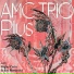 AMC Trio
