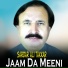 Sardar Ali Takkar