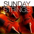 The New 101 Strings Orchestra