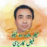 Faiz Karezi