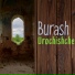 Burash