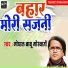 Gopal Babu Goswami