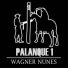 Wagner Nunes