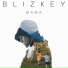 BLIZKEY