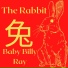 BabyBillyRay