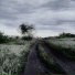 dsxvn