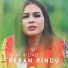 Yani Ridho