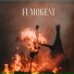 Amido R