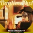 Daytime Owl