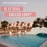 The Palm Beats Collective