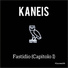 Kaneis