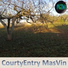 masvin