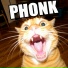 PHONK OMG