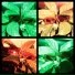 AspidistrA
