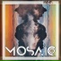 Lil Fish France Mosaic EP