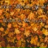 Ait Meslayene feat. Rachid Mesbahi